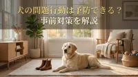犬の問題行動は予防できる？事前対策を解説