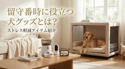 留守番時に役立つ犬グッズとは？ストレス軽減アイテム紹介