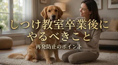 しつけ教室卒業後にやるべきこと｜再発防止のポイント