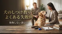 犬のしつけ教室でよくある失敗例｜後悔しない選び方
