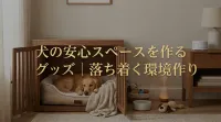 犬の安心スペースを作るグッズ｜落ち着く環境作り