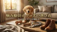 噛み癖防止グッズの選び方｜犬に合うタイプを見極める