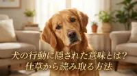 犬の行動に隠された意味とは？仕草から読み取る方法