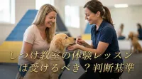 しつけ教室の体験レッスンは受けるべき？判断基準