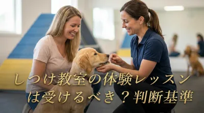 しつけ教室の体験レッスンは受けるべき？判断基準