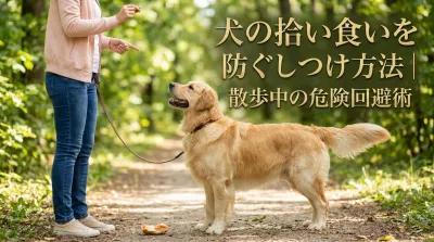 犬の拾い食いを防ぐしつけ方法｜散歩中の危険回避術