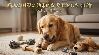 噛み癖対策に効果的な犬用おもちゃ5選｜ストレス解消にも