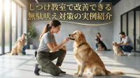 しつけ教室で改善できる無駄吠え対策の実例紹介