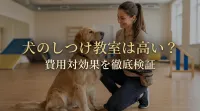 犬のしつけ教室は高い？費用対効果を徹底検証