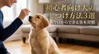 初心者向け犬のしつけ方法3選｜今日からできる基本習慣