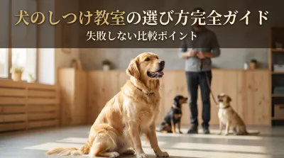 犬のしつけ教室の選び方完全ガイド｜失敗しない比較ポイント