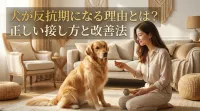 犬が反抗期になる理由とは？正しい接し方と改善法