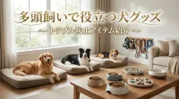 多頭飼いで役立つ犬グッズ｜トラブル防止アイテム紹介