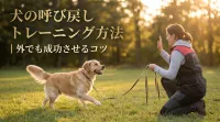 犬の呼び戻しトレーニング方法｜外でも成功させるコツ