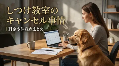 しつけ教室のキャンセル事情｜料金や注意点まとめ