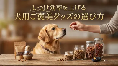 しつけ効率を上げる犬用ご褒美グッズの選び方